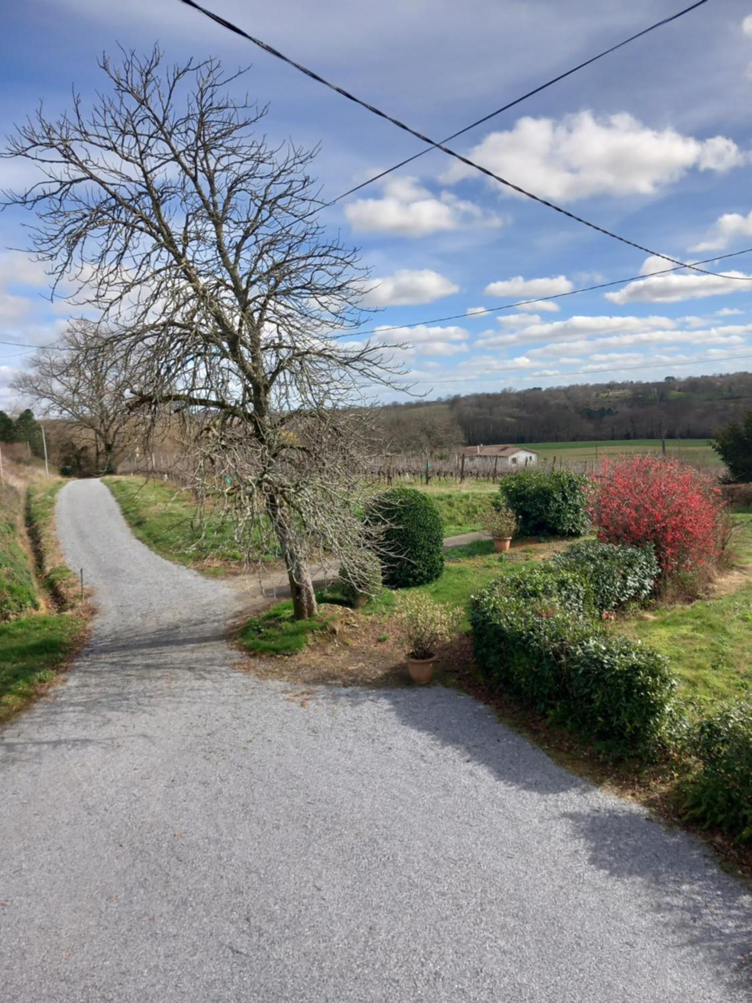 Maison de campagne Les Chênes. Panjas Extérieur photo